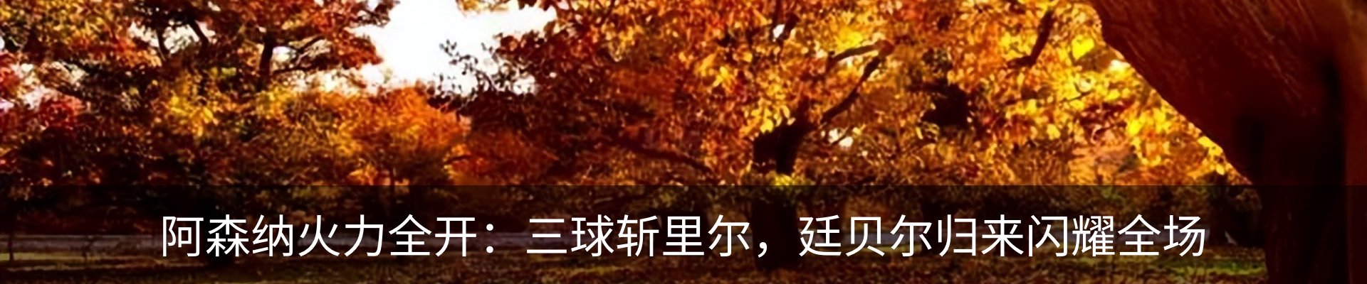最新动态